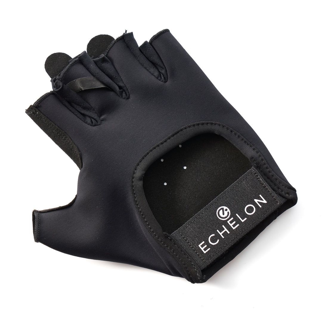 Echelon Riding Gloves