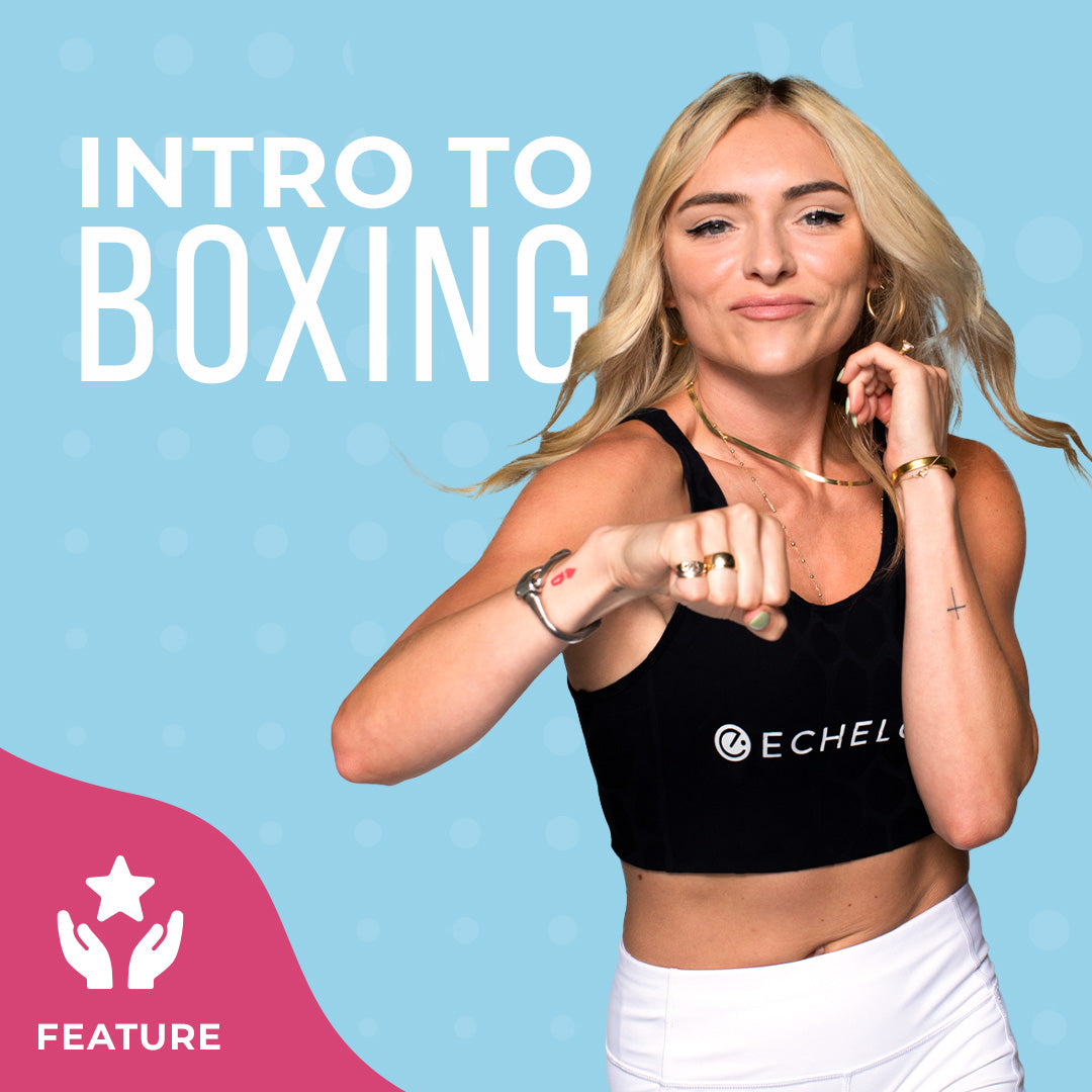 Echelon Instructor Page with text overlay "Intro to Boxing"