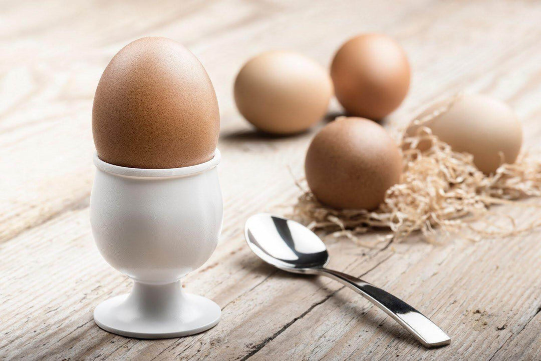How Much Protein Do You Really Need After a Workout? - Echelon Fit US