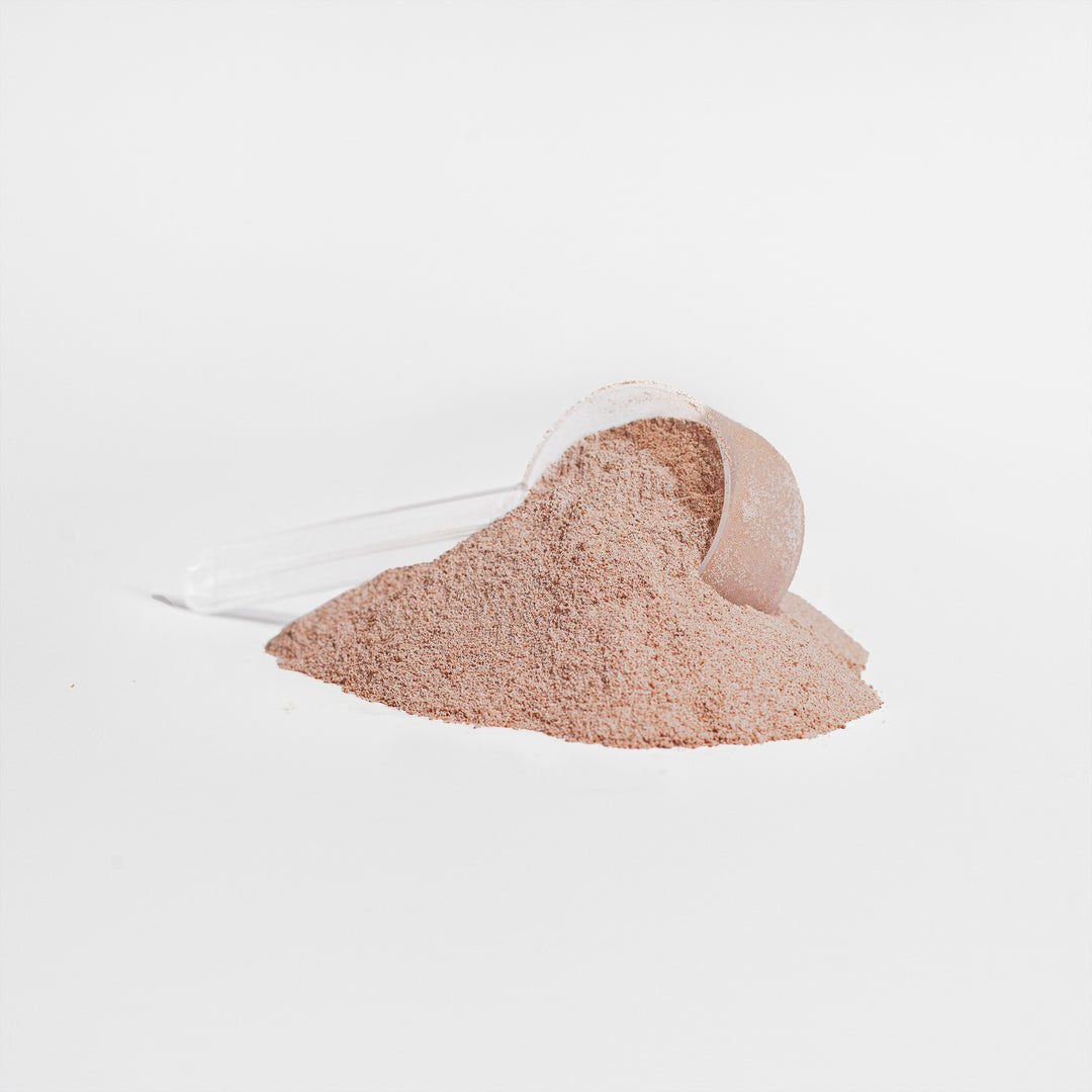 Echelon Collagen Boost (Chocolate) – Echelon Nutrition (view 3)