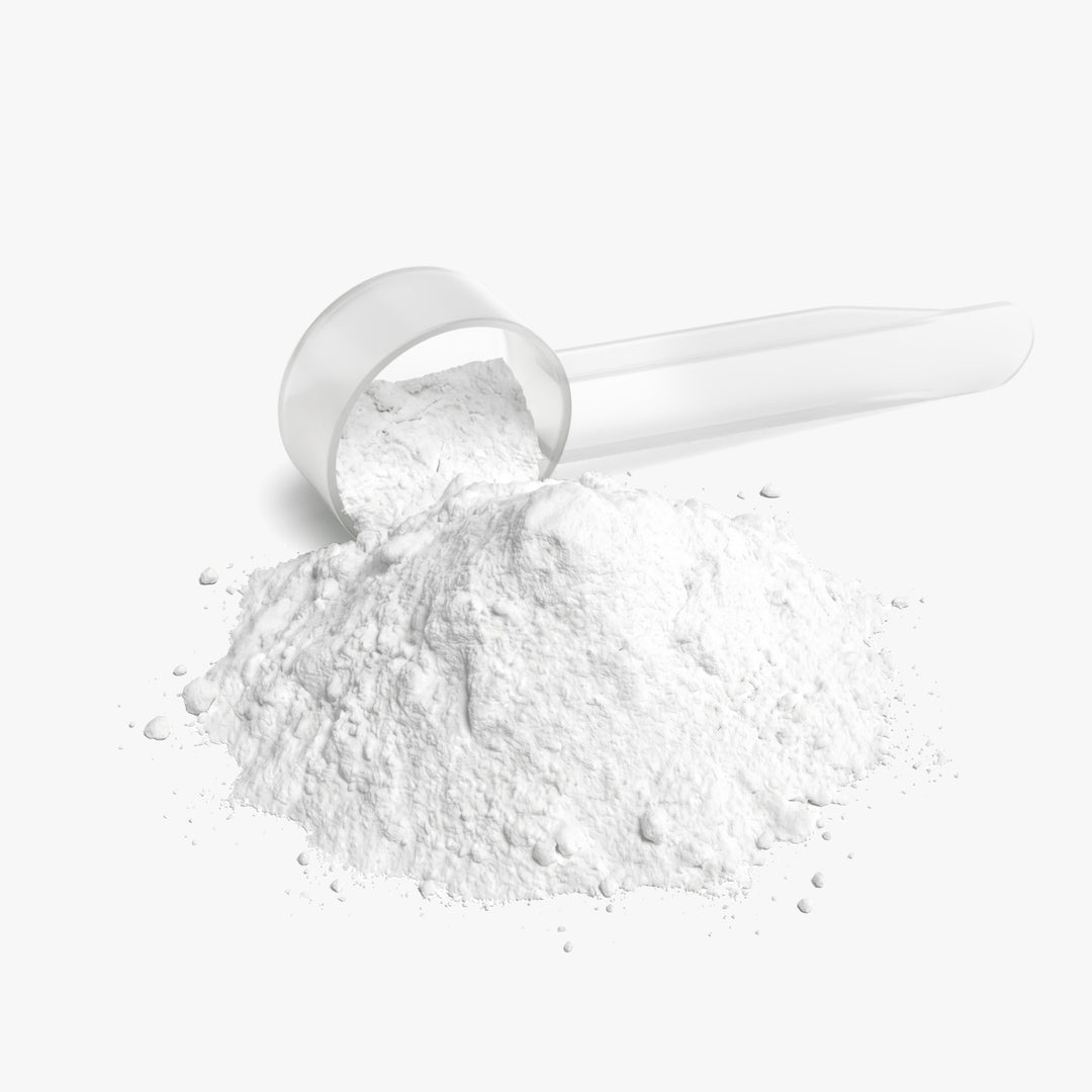 Echelon Recovery Glutamine – Echelon Nutrition (view 5)