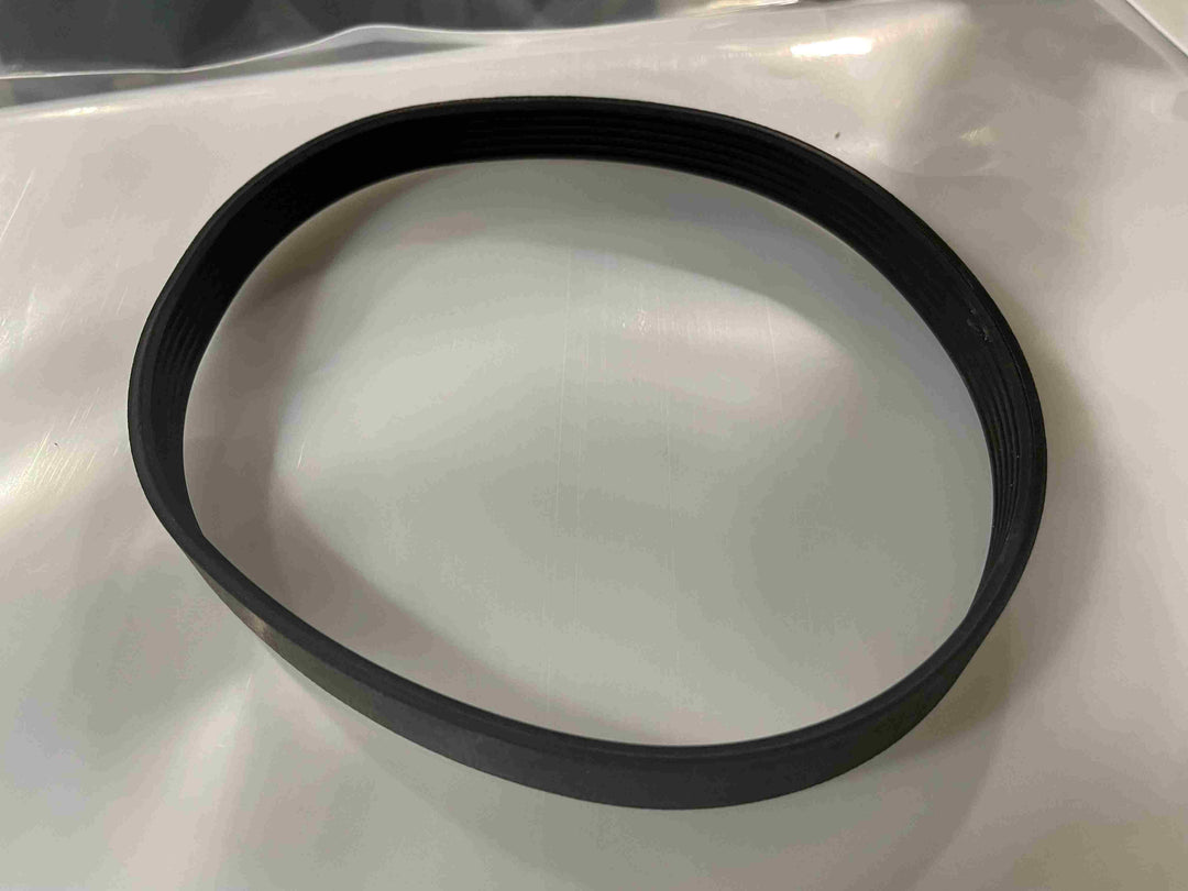Drive Belt : Stride 6