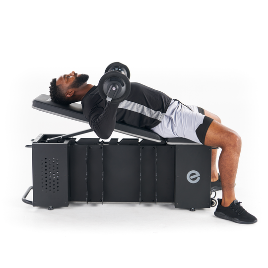 Echelon Strength Storage Bench