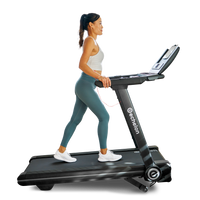 Stride-6 (Certified Open Box)