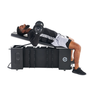 Echelon Strength Storage Bench