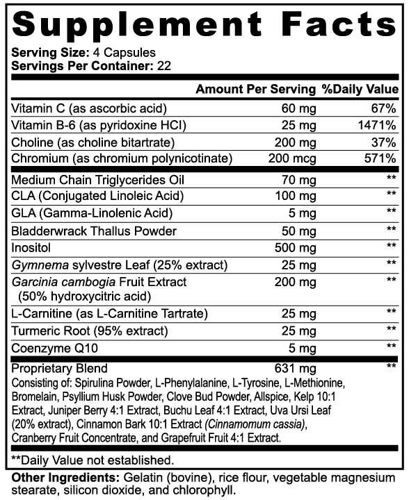 Echelon Active Metabolism - Echelon Fit US