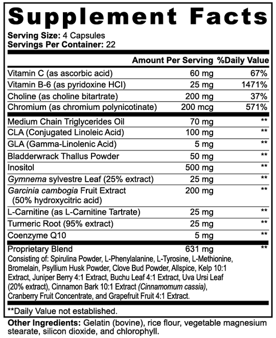 Echelon Active Metabolism - Echelon Fit US
