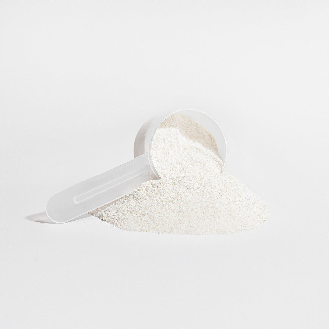Echelon Collagen Boost - Echelon Fit US